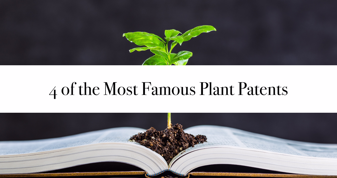 4 of the Most Famous Plant Patents
